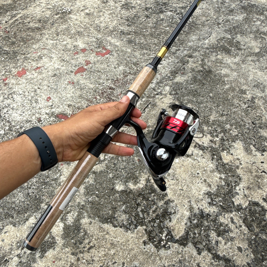 Combo Daiwa Sweepfire