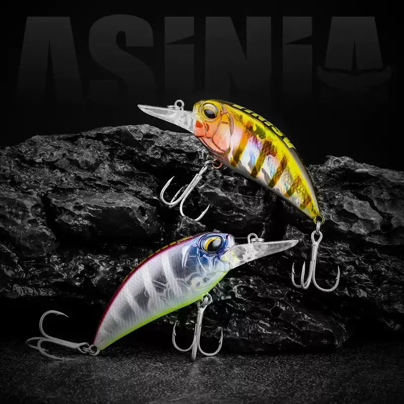 Asinia Crankbite 6,5 cm 14 gr