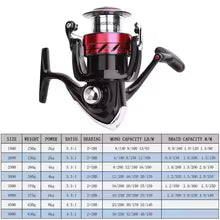 Daiwa Sweepfire 2B CS